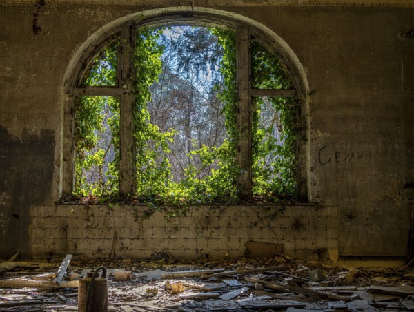 Interior view, former Alpine house on the historic site of the tuberculosis sanatorium in Beelitz,