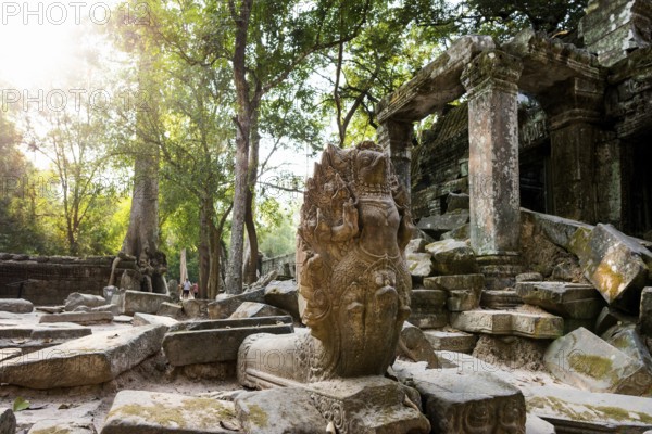 Ta Prohm, Angkor Wat, Angkor, UNESCO World Heritage Site, Siem Reap, Cambodia, Indochina, Southeast
