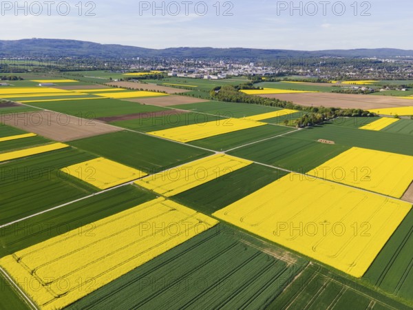 The Taunus ridge rises behind blossoming rape fields and the town of Bad Homburg. (Aerial view with