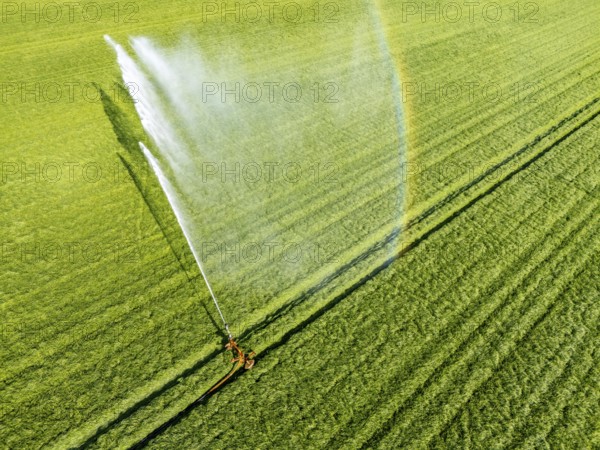 Artificial irrigation of a cereal field in April, with a sprinkler system, long dry spell in spring