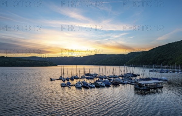 Lake Rursee, reservoir in the Eifel National Park, north-east bank near Heimbach, near the Rur dam