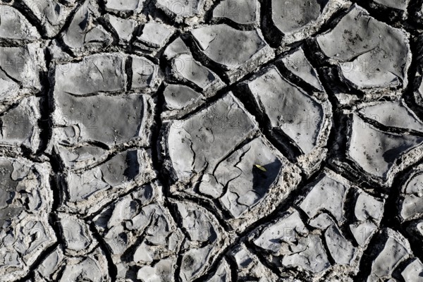 The bottom of a dried-up fish pond in Reckahn in Brandenburg looks like parched desert soil. The