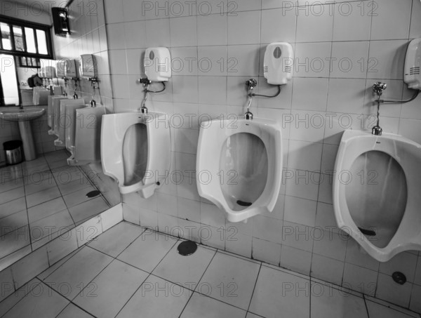 Toilet facility with urinals, cactus garden, Jardin de Cactus, designed by the artist César