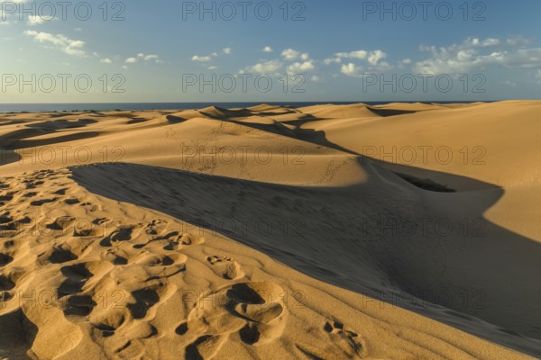 Dunes of Maspalomas, Maspalomas, Gran Canaria, Canary Islands, Spain, Maspalomas, Gran Canaria,