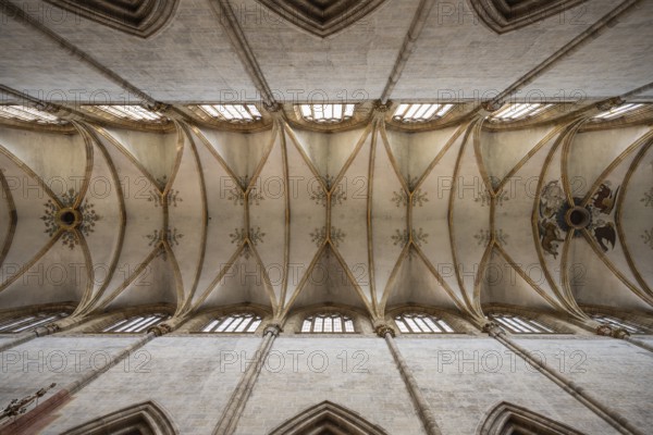 Ceiling vault of the 41.6 metre high central nave in Ulm Minster, Ulm, Baden-Württemberg, Germany,
