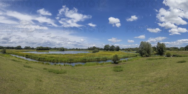 Steinhorst basin, panorama, nature reserve, blue sky, nature, Ems, Delbrücker Land, Steinhorst,