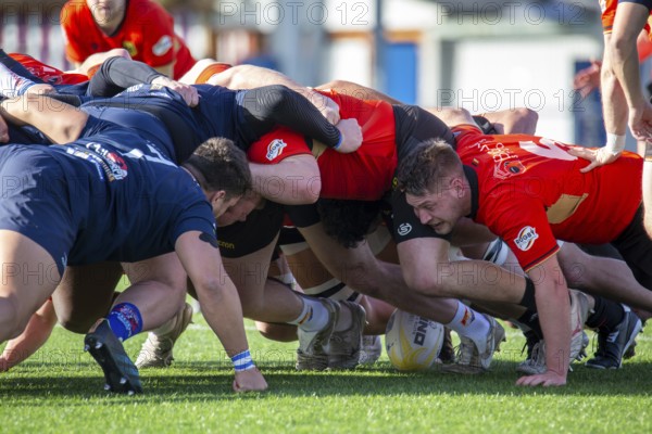 Rugby: Germany against MKS Pogon Awenta Siedlce, Poland in Heidelberg (Test match of the German