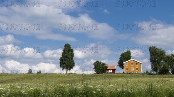Falun red and Swedish yellow wooden house, trees, meadow, blue sky, clouds, at Lake Mjosa near