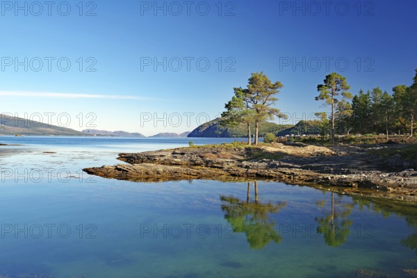 Trees, pines reflected in the crystal clear water of a shallow bay, late summer, Kjelleidet, FV 17,