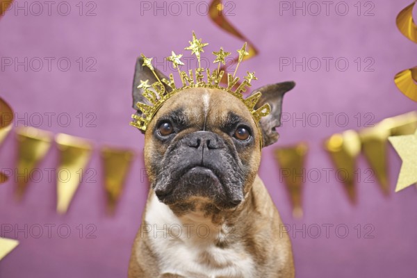 French Bulldog dog wearing New Year's Eve part headband with text 'Happy new year' in front of pink
