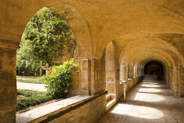 Cloister with view of the Thousand-Year Rosebush in the cemetery of St. Mary's Cathedral,