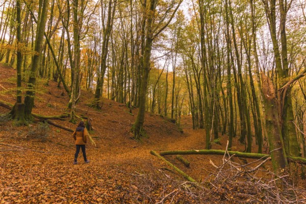 Lifestyle, a young brunette in a yellow jacket walking along the forest path in autumn. Artikutza