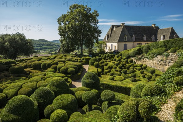 Boxwood garden, Les Jardins de Marqueyssac, Vezac, Dordogne, Périgord, Département Dordogne, Region