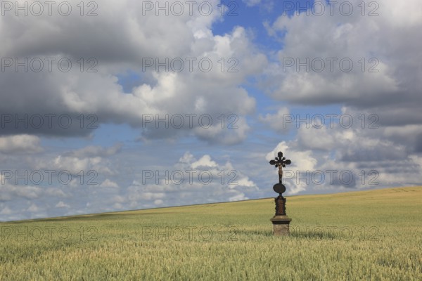 Field cross in a wheat field, near Dukovany, Czech Republic, Grain field with a lonely field cross,