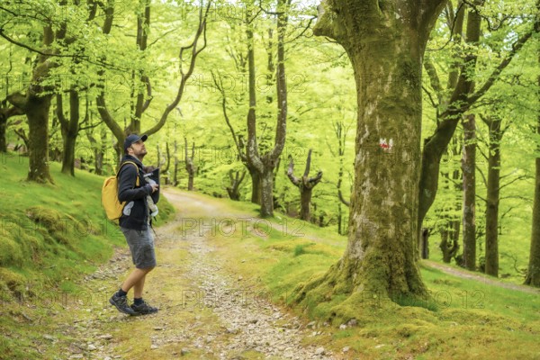 A young father walking with the newborn child in the backpack on a path in the woods heading to the