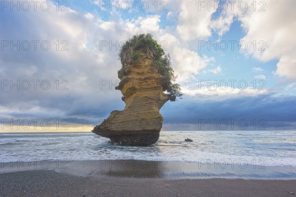 Rock formation shaped like a boot, Punakaiki, Paparoa National Park, South Island, New Zealand,