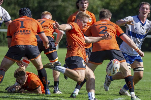 07.09.2024, Rugby 1st Bundesliga South/West, Season 2024/25, Matchday 1: RG Heidelberg vs TSV