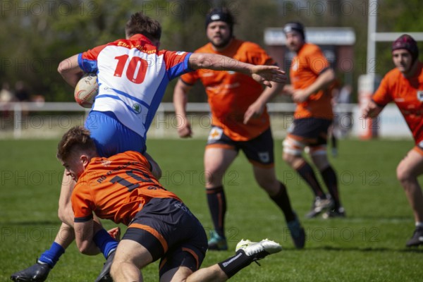 Rugby 1st Bundesliga South/West, Season 2024/25, Matchday 10: RG Heidelberg vs Heidelberger