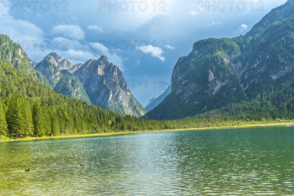 Calm water reflecting majestic mountains and lush forest on a sunny summer day at lake dobbiaco, a