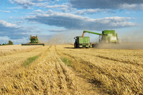 Combine harvester harvesting wheat and unloading grain onto tractor with trailer, endless