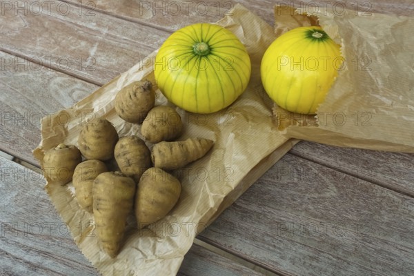Chaerophyllum bulbosum, chervil turnip, chervil bulb, healthy root, courgette (Cucurbita pepo subsp