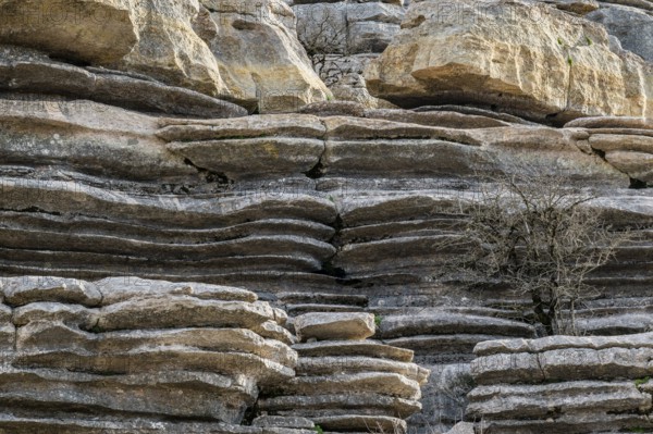 Bizarre limestone rock formations, El Torcal nature reserve, Torcal de Antequera, Malaga province,