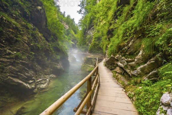Scenic view of a wooden walkway winding along a stunning emerald river in vintgar gorge near bled,