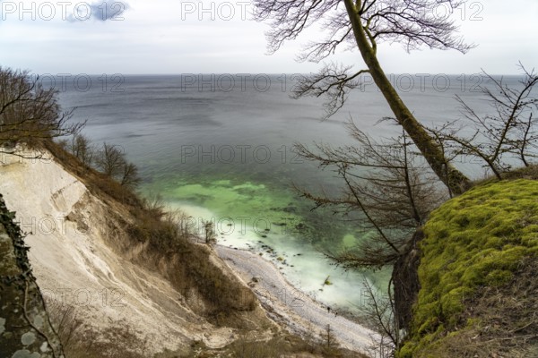 The famous chalk cliffs on the Baltic Sea coast in Jasmund National Park, Ruegen Island,