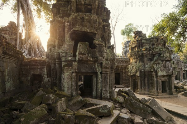 Ta Prohm, Angkor Wat, Angkor, UNESCO World Heritage Site, Siem Reap, Cambodia, Indochina, Southeast