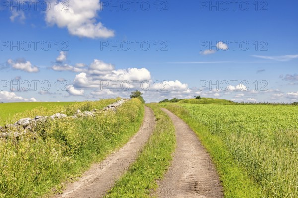 Empty dirt road with a grass shoulder by a stone wall in the countryside with green fields a sunny