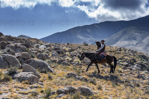 Traditional Kyrgyz eagle hunter in the mountains hunting on horseback, near Kysyl-Suu, Kyrgyzstan,