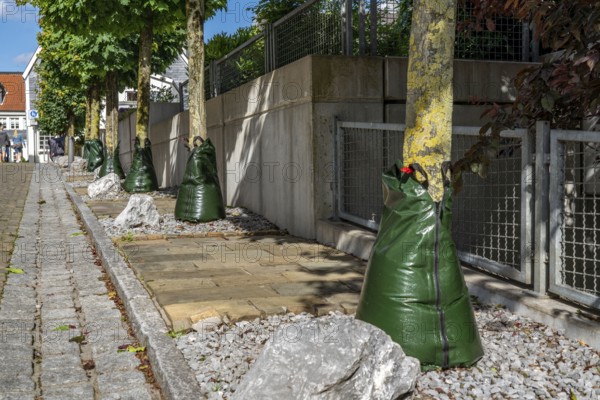 Treegator irrigation system, for targeted irrigation of trees in dry conditions, water bags that