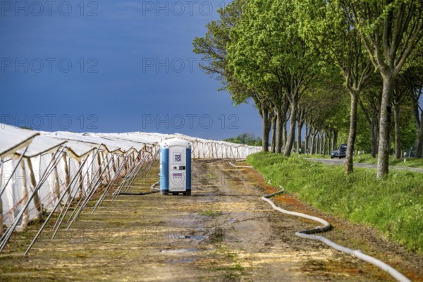 Agriculture, large areas with foil tunnel, for the cultivation of strawberries, south of Lövenich,