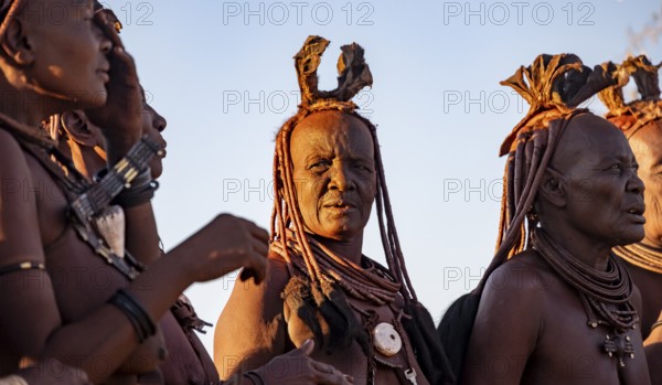 Traditional Himba woman clapping, music and dance, portraits, in the evening light, near Opuwo,