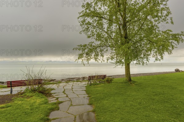 Shore of Lake Constance after a thunderstorm in spring, Friedrichshafen, Lake Constance district,