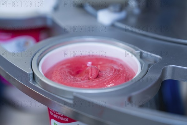 Raspberry ice cream in a cup during the filling process, ice cream production farm ice cream,