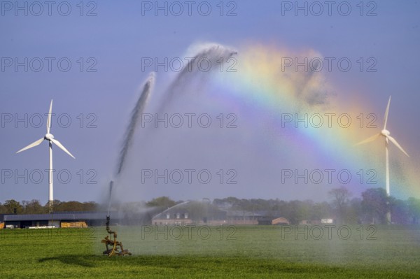 Artificial irrigation of a cereal field in April, with a sprinkler system, long dry spell in spring