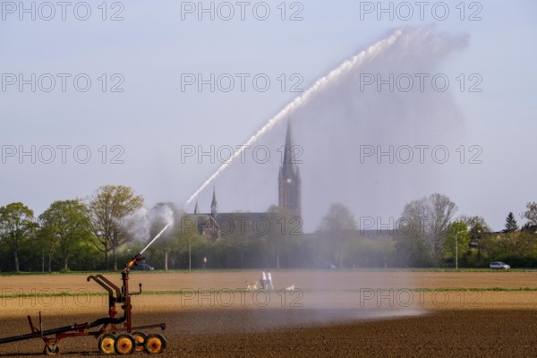 Artificial irrigation of a field, freshly sown, in April, with a sprinkler system, long drought in