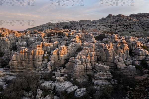 Bizarre limestone rock formations, El Torcal nature reserve, Torcal de Antequera, Malaga province,