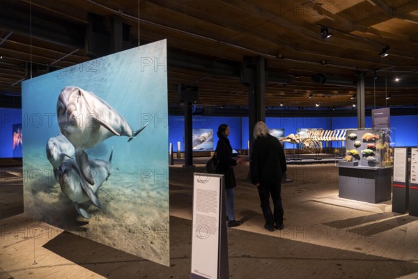 Plante Ozean exhibition in the Gasometer in Oberhausen, the world's oceans in their fragile beauty