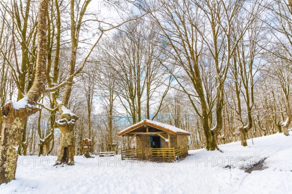 The refuge next to trees in the snow-covered Oianleku Natural Park in the town of Oiartzun, next to