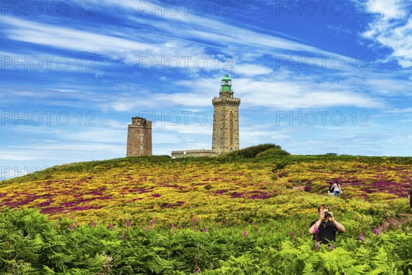Flowering, colourful moorland, walkers on footpath to lighthouse, Cap Fréhel in summer, Emerald