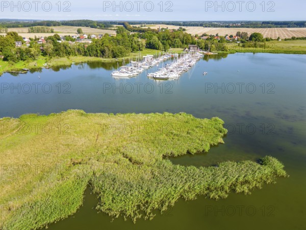 Aerial view, drone photo of the Krummin natural harbour, Krumminer Wiek on the Peene River, Usedom