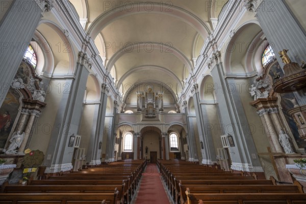 Interior with organ loft of the parish church, founded in 1307, baroqueised in the 18th century,