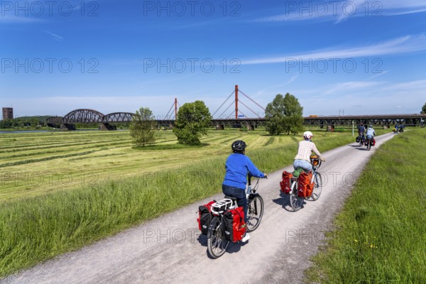 Rhine meadows near Duisburg-Beeckerwerth, footpath, cycle path on the Rhine dyke, cycle path,