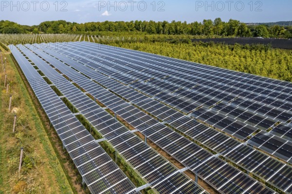 Agri-photovoltaic test plant, an apple orchard with two different systems of PV modules was roofed