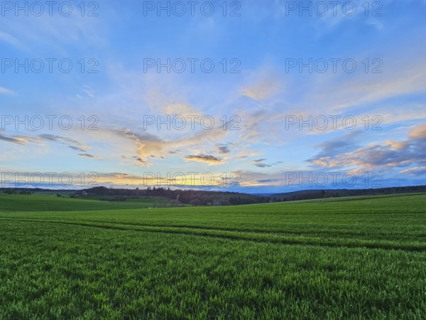 Wide green field under a blue sky with clouds during sunset, Mönchberg, Mltenberg, Spessart,