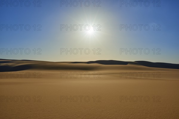The endless expanse of a desert with golden sand dunes under a bright blue sky and the glistening
