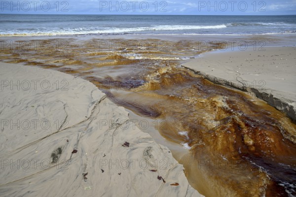 Tannic water from the Congo Basin flows into the sea, Petit Loango, Loango National Park, Parc