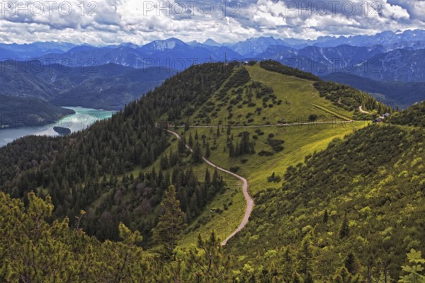 Panoramic view from the Herzogstand of wooded mountains and a winding hiking trail, with Lake
